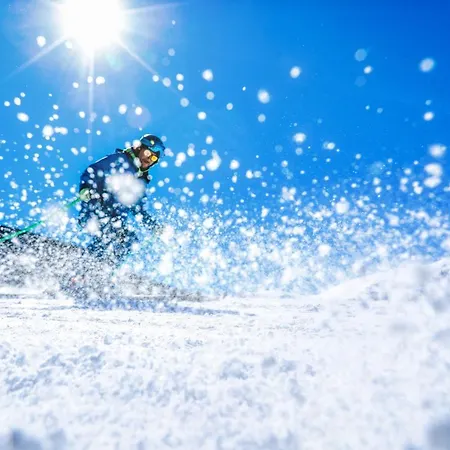 Aparthotel Guitart La Molina & 4*
